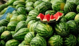 快手网红的瓜在哪吃,揭秘快手网红“瓜在哪吃”背后的美食之旅